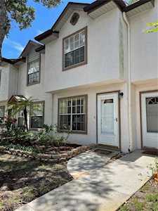 3337 Fox Hunt Dr Palm Harbor, FL 34683