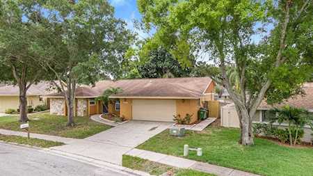 1071 Mineola Ct Palm Harbor, FL 34683