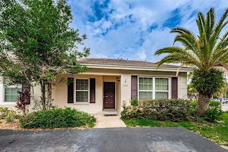 1157 Dover Ct Safety Harbor, FL 34695