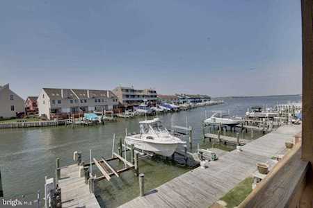 525 Penguin Dr Ocean City, MD 21842