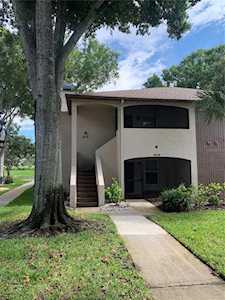 2981 Bonaventure CIRCLE #102 Palm Harbor, FL 34684