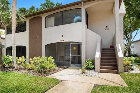 2981 Bonaventure CIRCLE #101 Palm Harbor, FL 34684