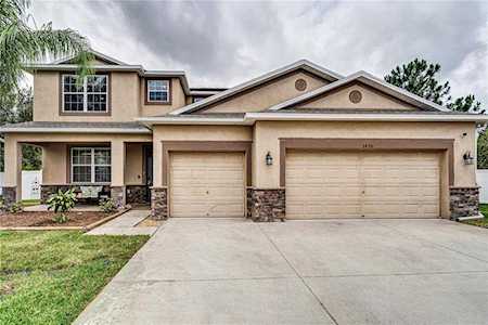 3450 Marmalade Ct Land O Lakes, FL 34638