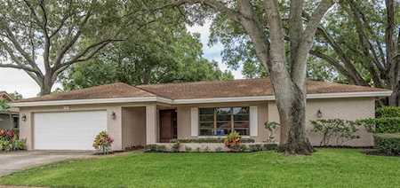 40 Crane Dr Safety Harbor, FL 34695