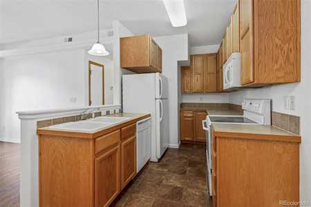 355 Buffalo Dr #C Windsor, CO 80550