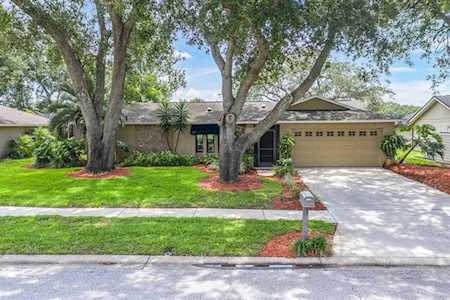 472 Winding Willow Dr Palm Harbor, FL 34683