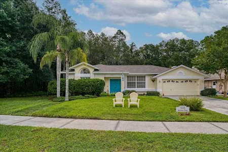 1115 Mistwood Dr Tarpon Springs, FL 34688