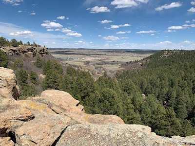 650 Bishop Pine Way #78 Castle Rock, CO 80104