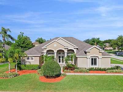 3997 Mimosa PLACE Palm Harbor, FL 34685