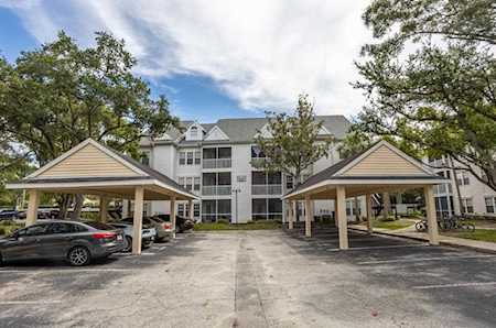 3313 Haviland Ct #303 Palm Harbor, FL 34684