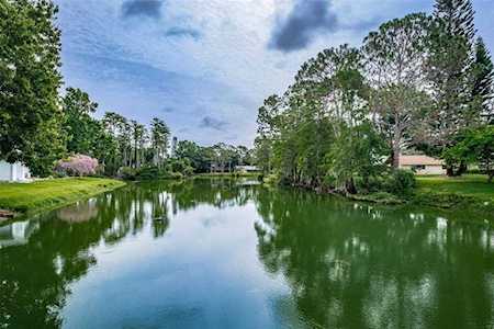 3362 Pattie PLACE Palm Harbor, FL 34685