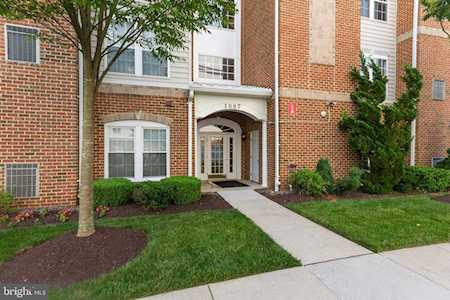 1007 Samantha Ln #4-103 Odenton, MD 21113