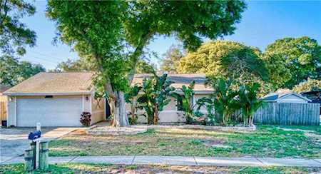 1191 Mineola CIRCLE Palm Harbor, FL 34683