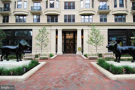 7710 Woodmont Ave #809 Bethesda, MD 20814
