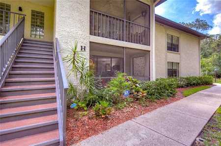 3301 Crystal Ct E #H Palm Harbor, FL 34685