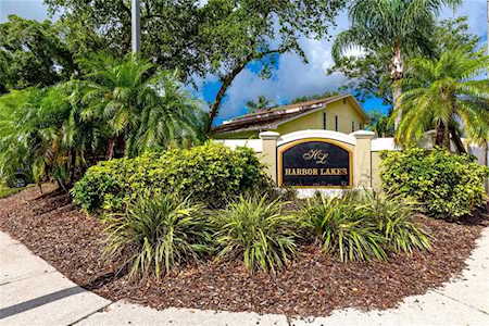101 Winding Willow Dr Palm Harbor, FL 34683
