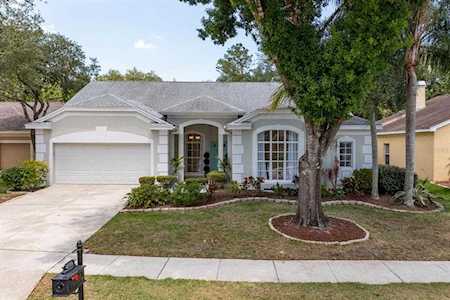 4335 Tremblay WAY Palm Harbor, FL 34685