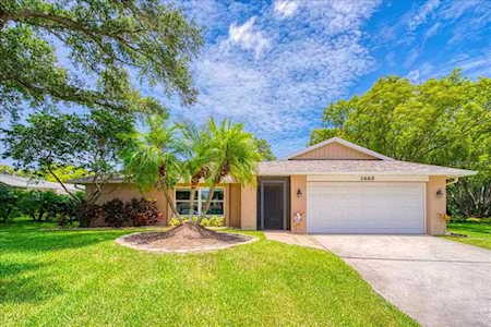 2665 Camille Dr Palm Harbor, FL 34684