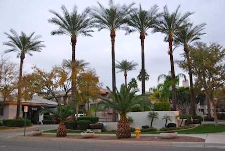 4343 N 21st Street #245 Phoenix, AZ 85016