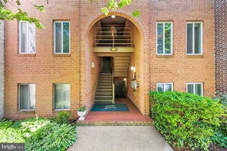 5051 7th Rd #202 Arlington, VA 22204