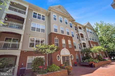 5108 Donovan Dr #203 Alexandria, VA 22304