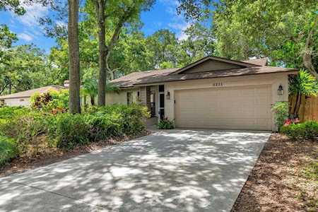 3211 Coventry N Safety Harbor, FL 34695