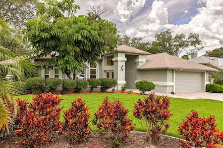 2814 Country Woods Ln Palm Harbor, FL 34683