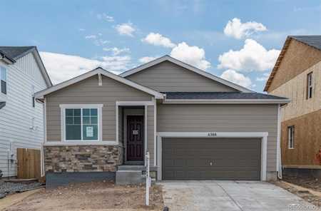 6388 Vista Cliff Loop Castle Rock, CO 80104