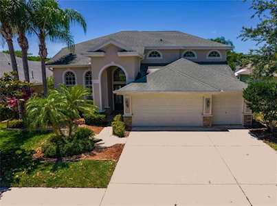 3019 Northfield Dr Tarpon Springs, FL 34688