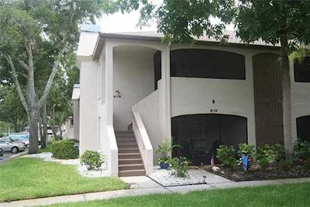 2985 Bonaventure CIRCLE #203 Palm Harbor, FL 34684