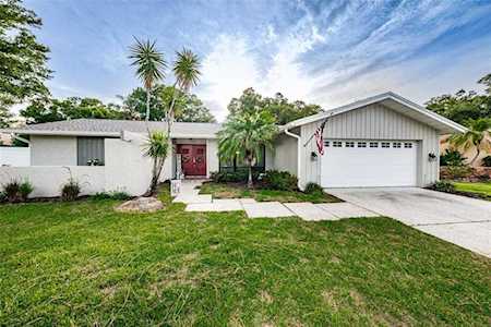 2020 Rainbow Farms Dr Safety Harbor, FL 34695