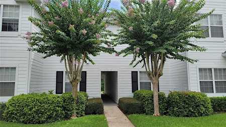 316 Southern Pecan CIRCLE #207 Winter Garden, FL 34787