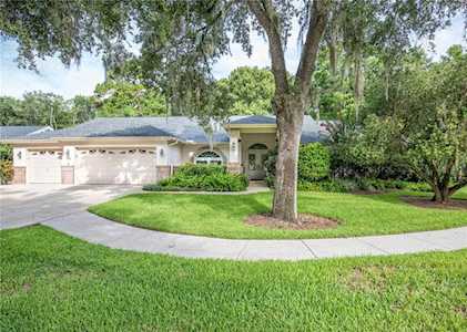 60 Deerpath Ct Oldsmar, FL 34677