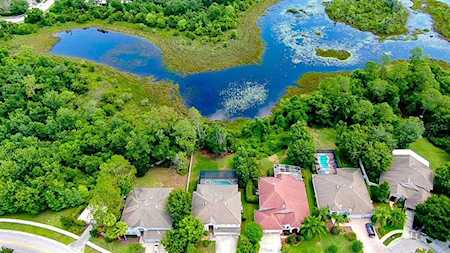 7406 Night Heron Dr Land O Lakes, FL 34637