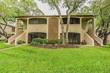 3002 Bonaventure CIRCLE #104 Palm Harbor, FL 34684