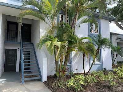 252 Cypress Ln #116 Oldsmar, FL 34677