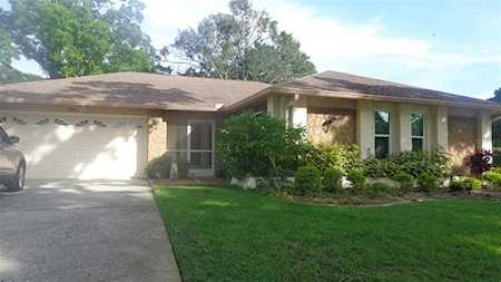 3202 Macgregor Dr Palm Harbor, FL 34684