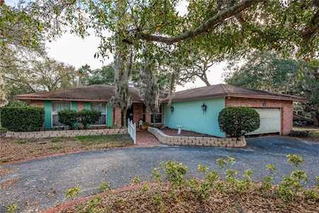 517 Pennsylvania Ave Palm Harbor, FL 34683