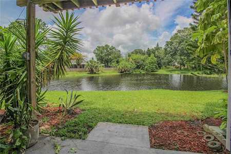 124 Loblolly Ct #E Oldsmar, FL 34677
