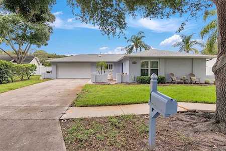 3424 Snowy Egret Ct Palm Harbor, FL 34683