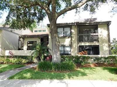 101 Woodlake Ln Oldsmar, FL 34677