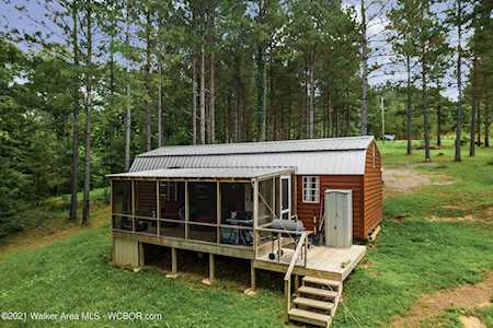 15 County Road 366 Crane Hill, AL 35053