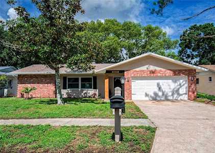 3229 Spanish Moss Ln Palm Harbor, FL 34684