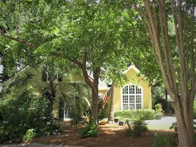 703 Perching Ct Mount Pleasant, SC 29464