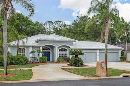 3369 Crescent Oaks Blvd Tarpon Springs, FL 34688