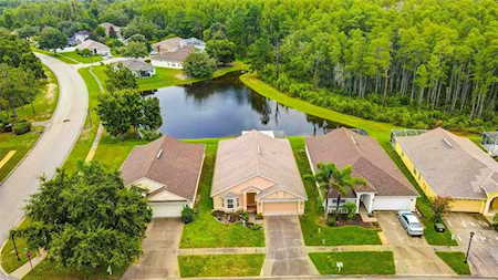 15633 Leatherleaf Ln Land O Lakes, FL 34638