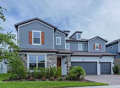 19109 Perennial Rose Ave Lutz, FL 33558