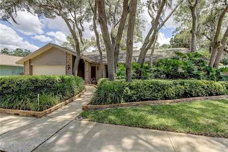3089 Enisglen Dr Palm Harbor, FL 34683