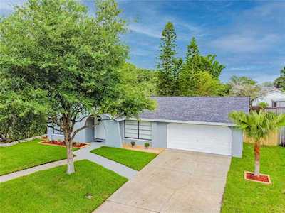 11308 Hollyglen Dr Tampa, FL 33624