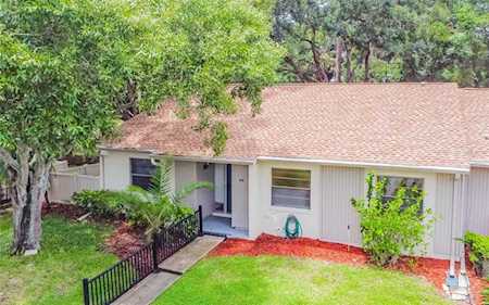 80 Tads Trl Oldsmar, FL 34677